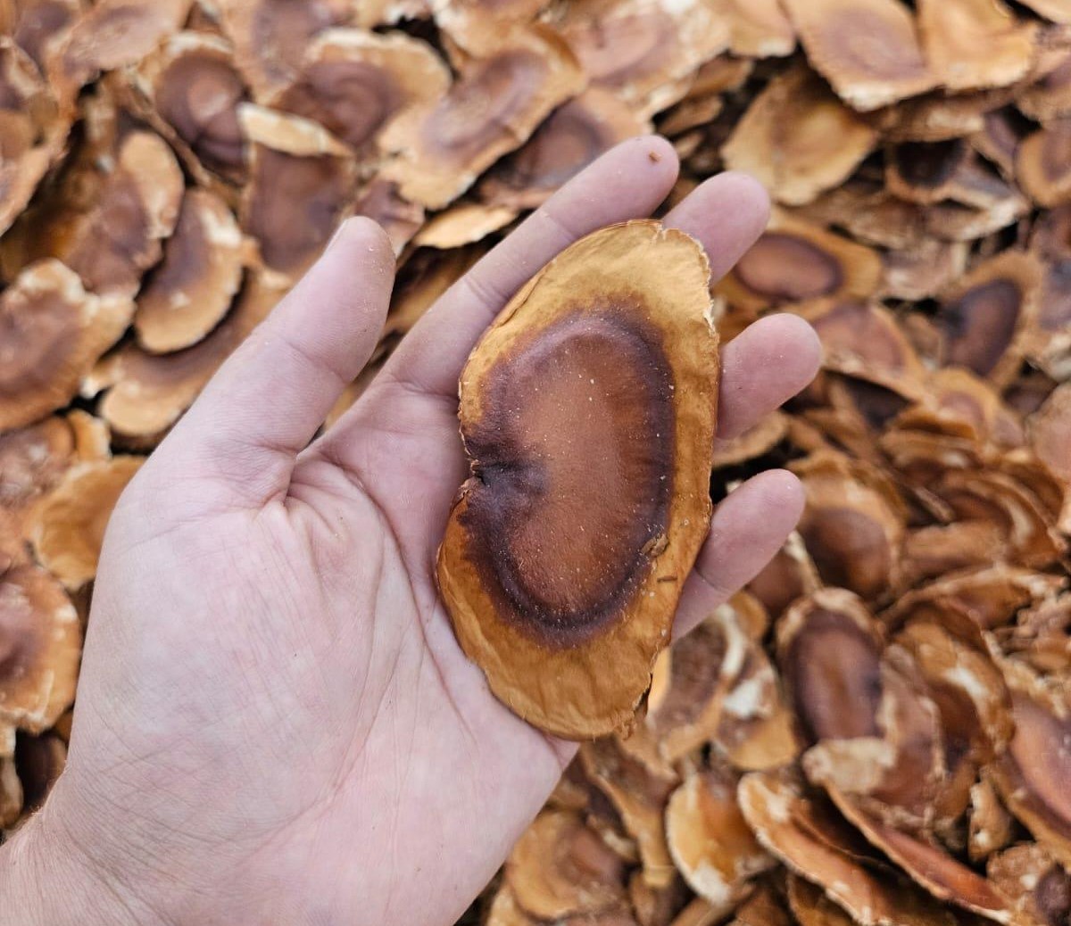 Fotos: Beatriz Cadorna