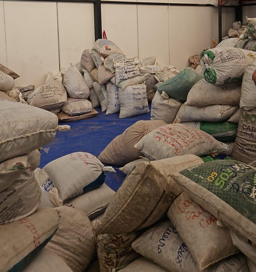 As sementes serão usadas em projetos de restauração ecológica